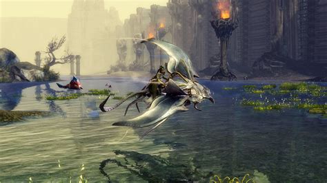 gw2 split stack|gw2 how to get mount.